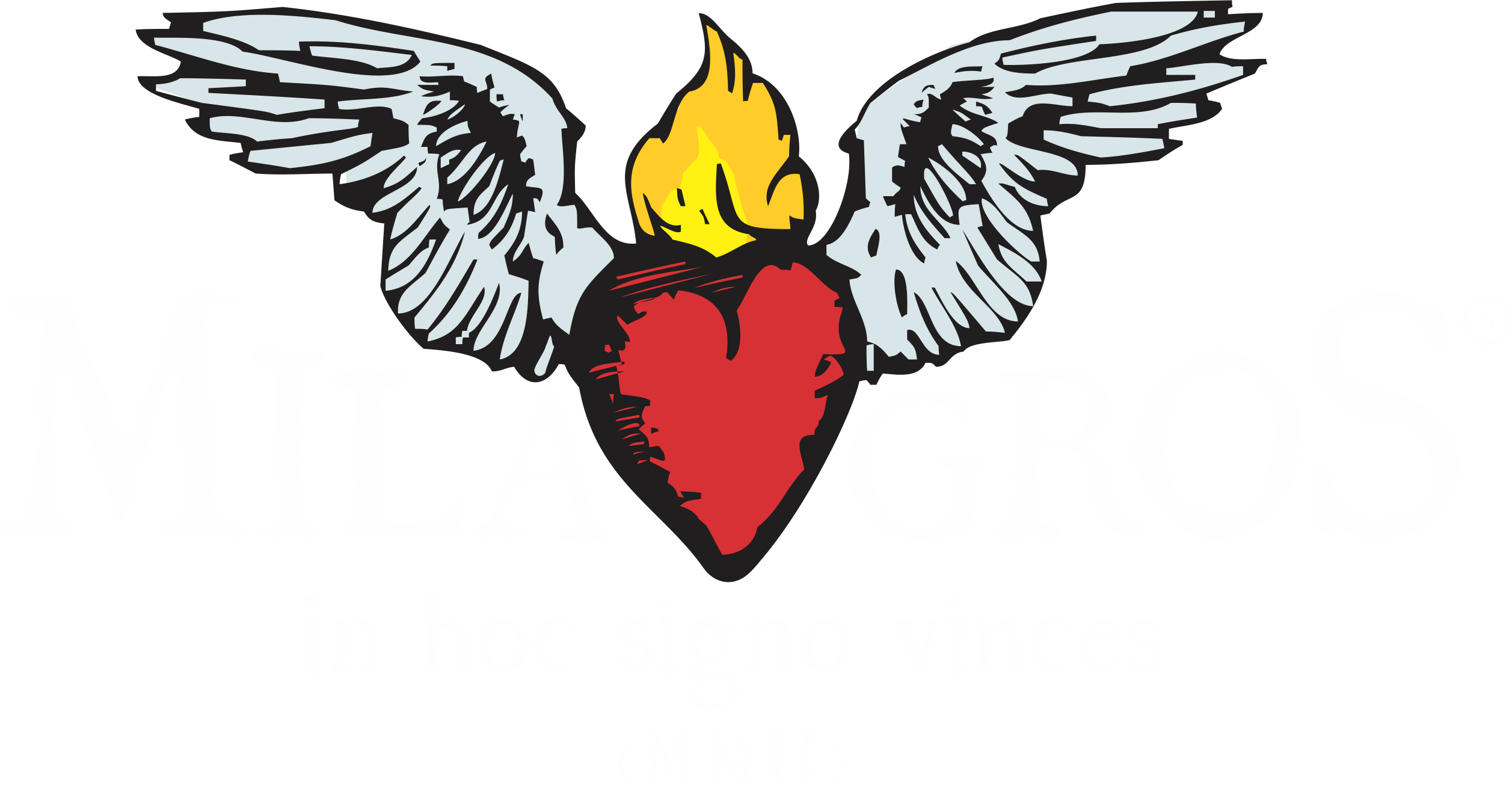 Altar De Incenso - Aparecida Clipart (2514x1308), Png Download