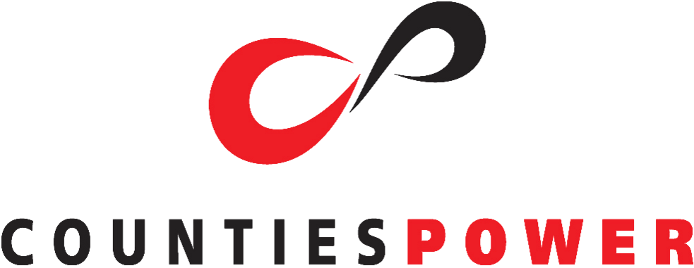 Pro Cp Logo Rgb 2015 - Logo Clipart (1000x383), Png Download