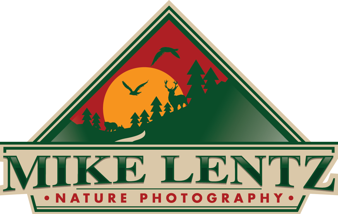 Sign Clipart (1155x732), Png Download