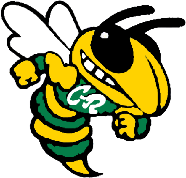 The Cory-rawson Hornets Defeat The Riverdale Falcons - Cory Rawson High School Ohio Clipart (600x573), Png Download