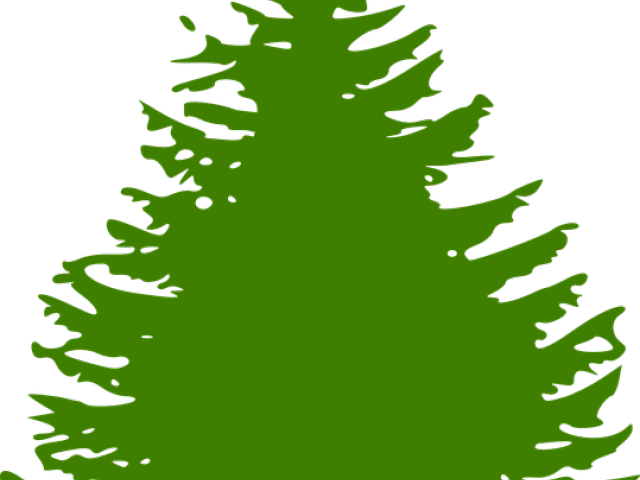 Fir Tree Clipart Forrest Tree - Tree Black And White Simple - Png Download (640x480), Png Download
