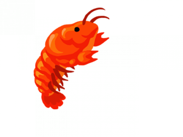 Shrimp Gif Transparent Clipart (640x480), Png Download