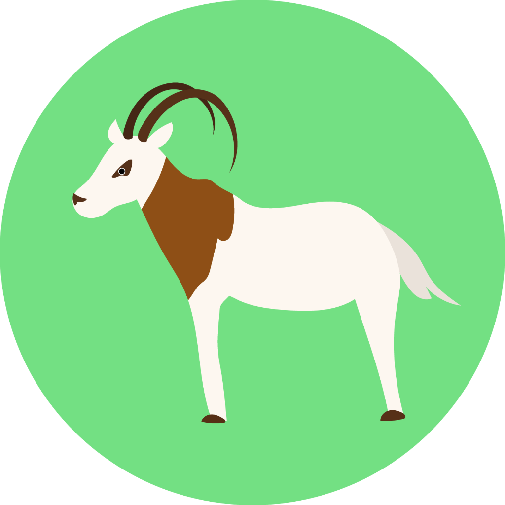 Oryx Clipart - Full Size Clipart (#2151007) - PinClipart