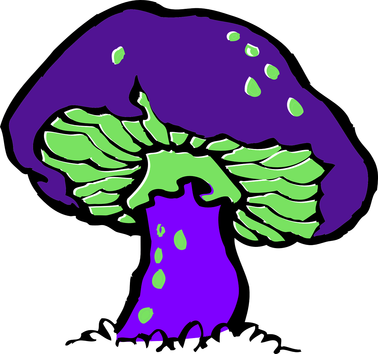 Clipart Mushroom - 7 Parts Of A Mushroom - Png Download (600x563), Png Download