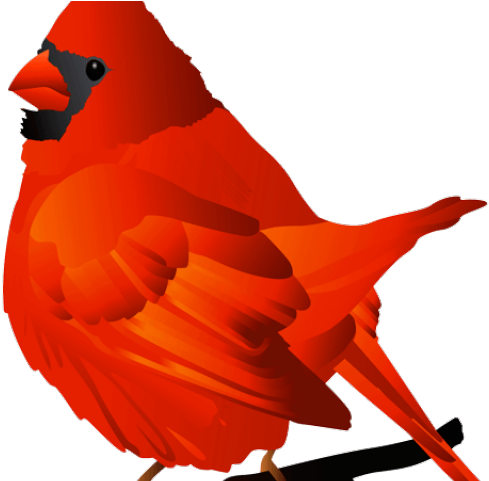 Cardinal Clipart Transparent - Clip Art - Png Download (640x480), Png Download