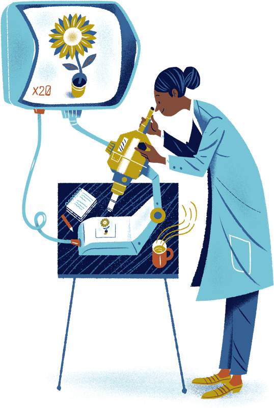 Used In Place Of Patents, Plant Variety Rights Offer - Illustration Clipart (800x800), Png Download