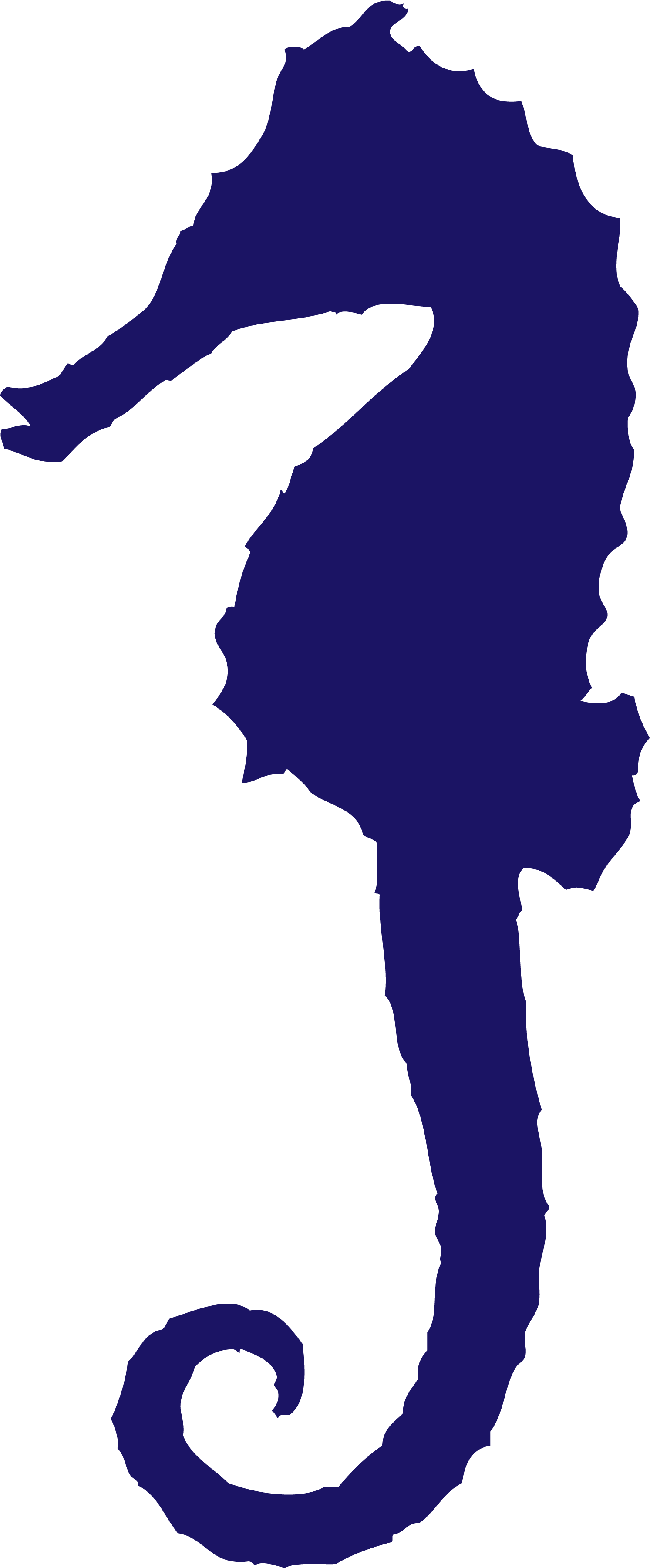 Add Image To The Editor - Seahorse Clipart (1564x3699), Png Download