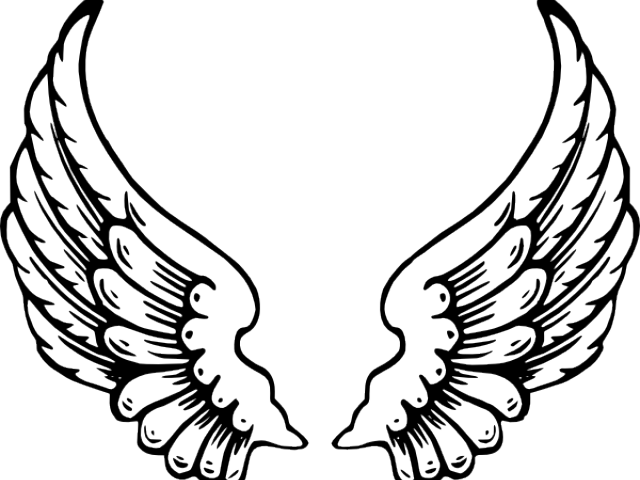 Wings Clipart Angel Wing - Png Download (640x480), Png Download