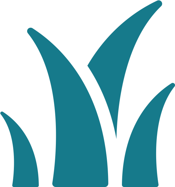 Austin Pollen Forecast Clipart (902x902), Png Download