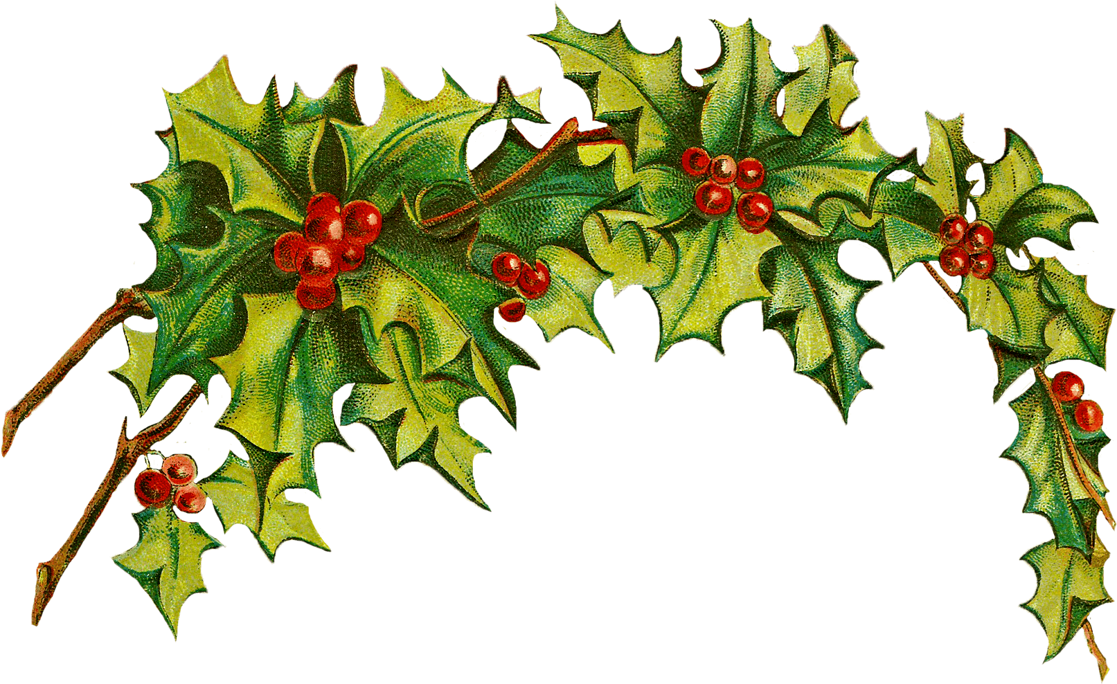 Christmas Kindness - Trade Paperback Clipart (1100x700), Png Download