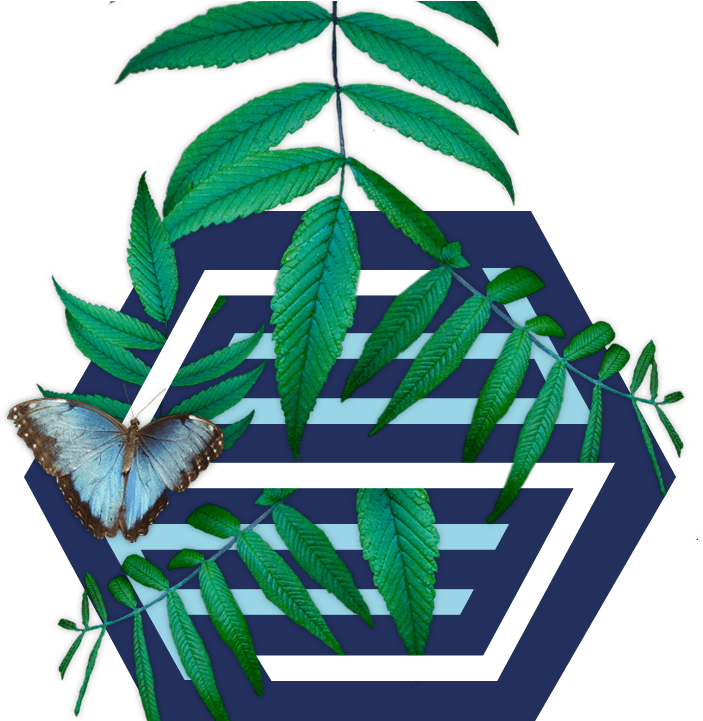 Finance For Sustainability - オリオン 40v型 フルハイビジョン液晶テレビ 外付けhdd録画対応 裏番組録画 ブルーライトガード搭載 Clipart (738x720), Png Download