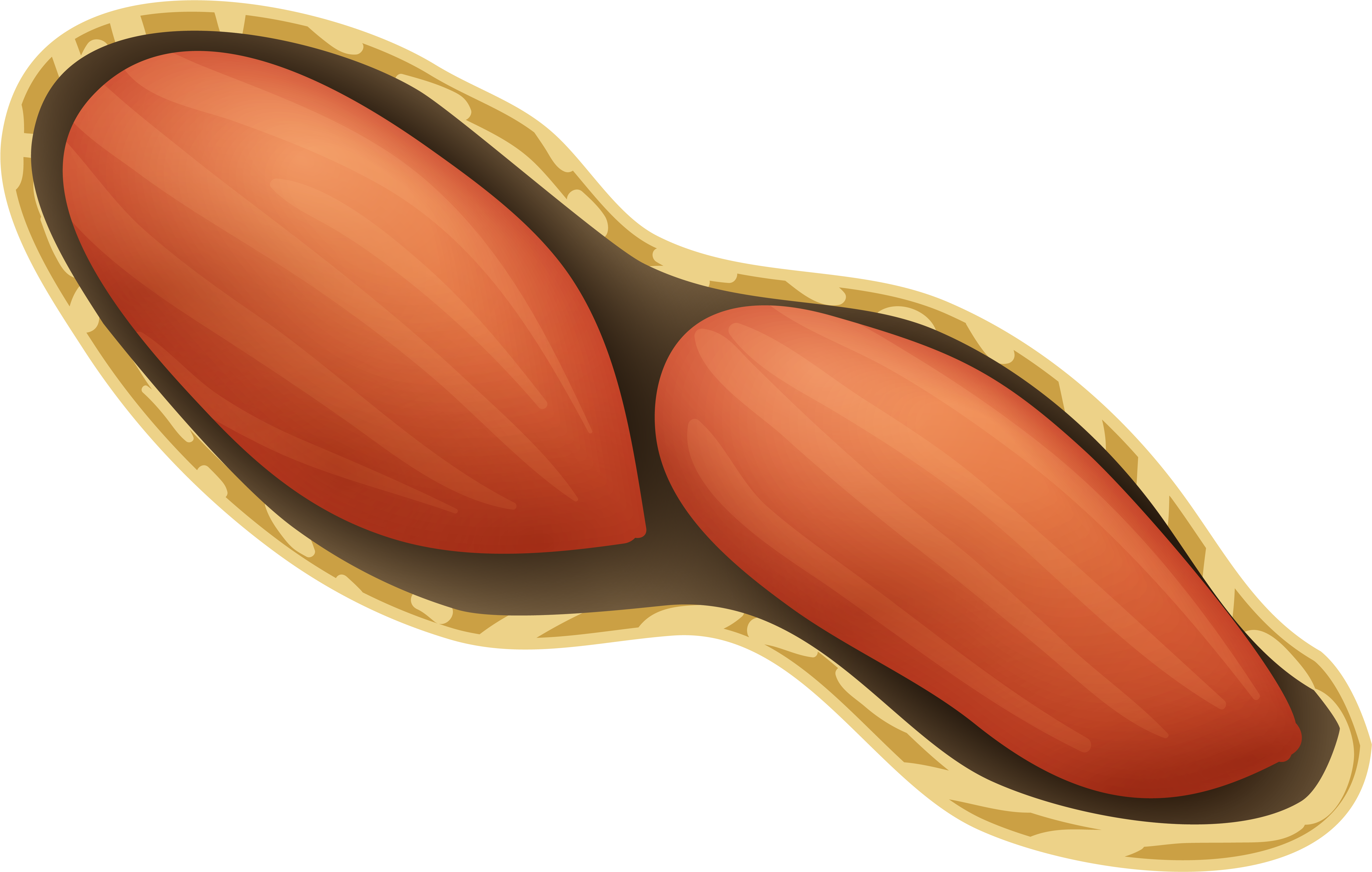 Clipart Peanut Png Transparent Png (6145x4111), Png Download