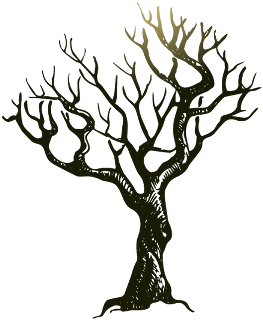 Bear Den Zoo And Petting Farm - Vintage Halloween Cat Drawing Clipart (720x720), Png Download