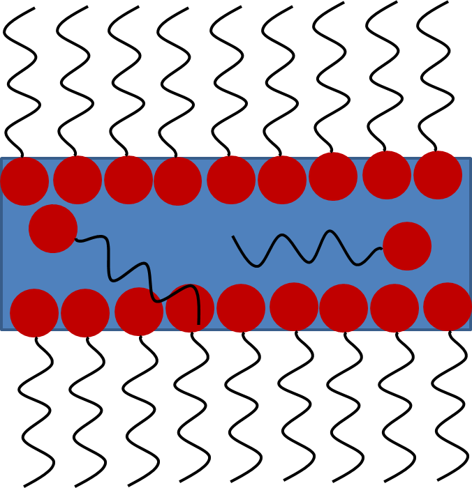 Portable Network Graphics Clipart (676x700), Png Download