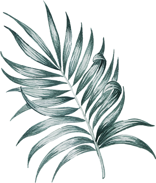 The Scriptures Clipart (564x660), Png Download