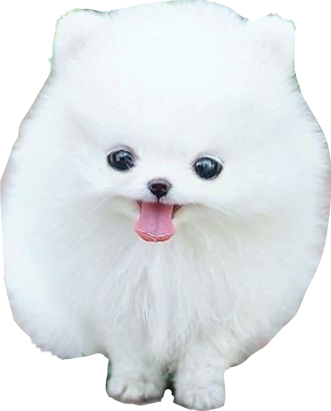 Clip Art Black And White Download Dog Cute Animal Sticker - Dog - Png Download (678x842), Png Download