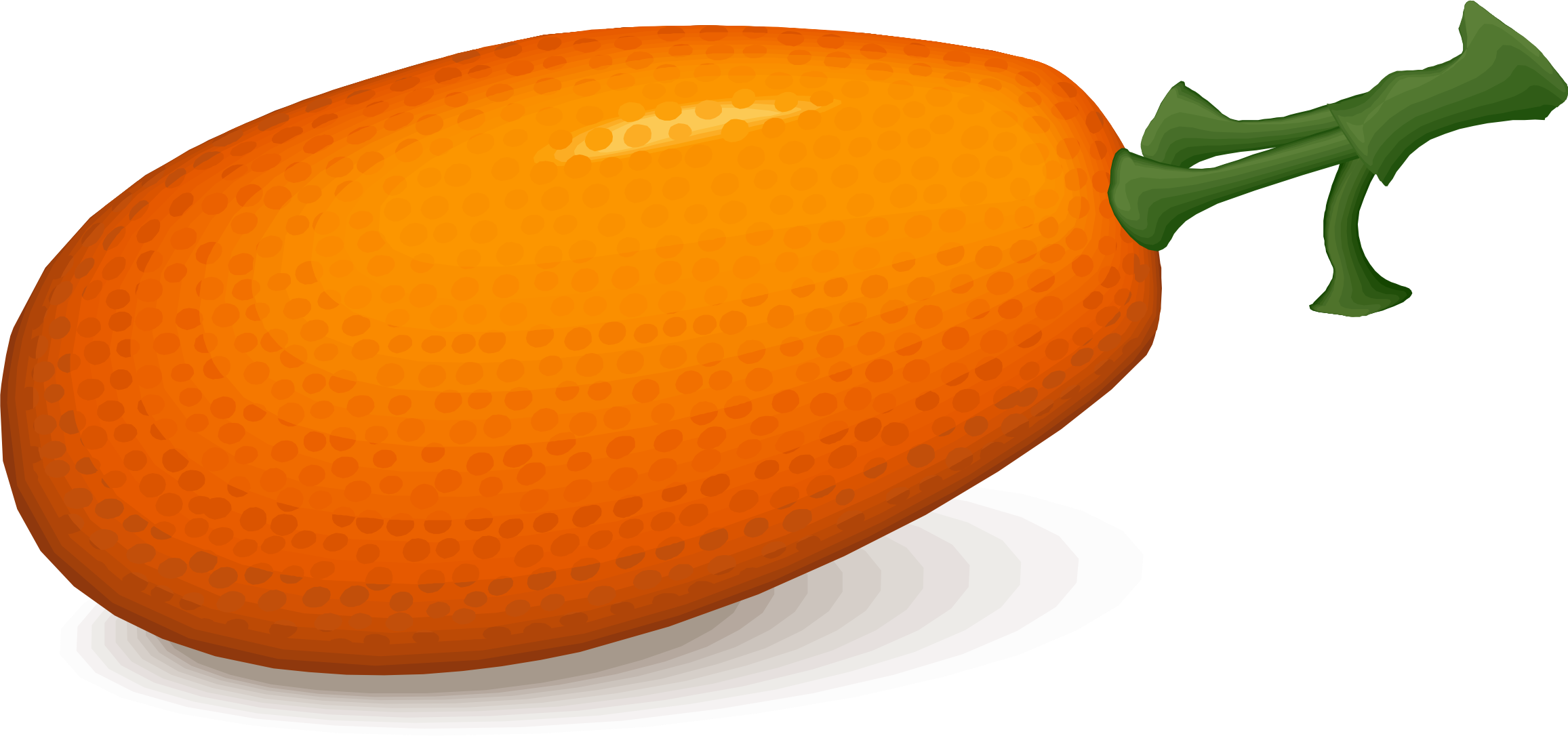 Big Image - Kumquat Clipart - Png Download (2313x1086), Png Download