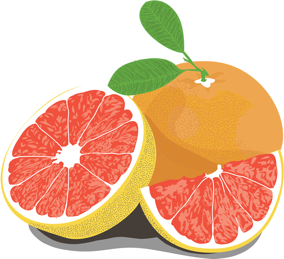 Banner Transparent Stock Illustration Mellobets Grapefruitpng - Pomelo Clipart (1000x1000), Png Download