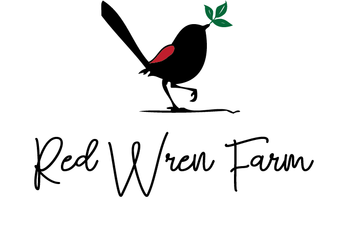 Red Wren Farm - Garlic Bread Clipart (663x572), Png Download