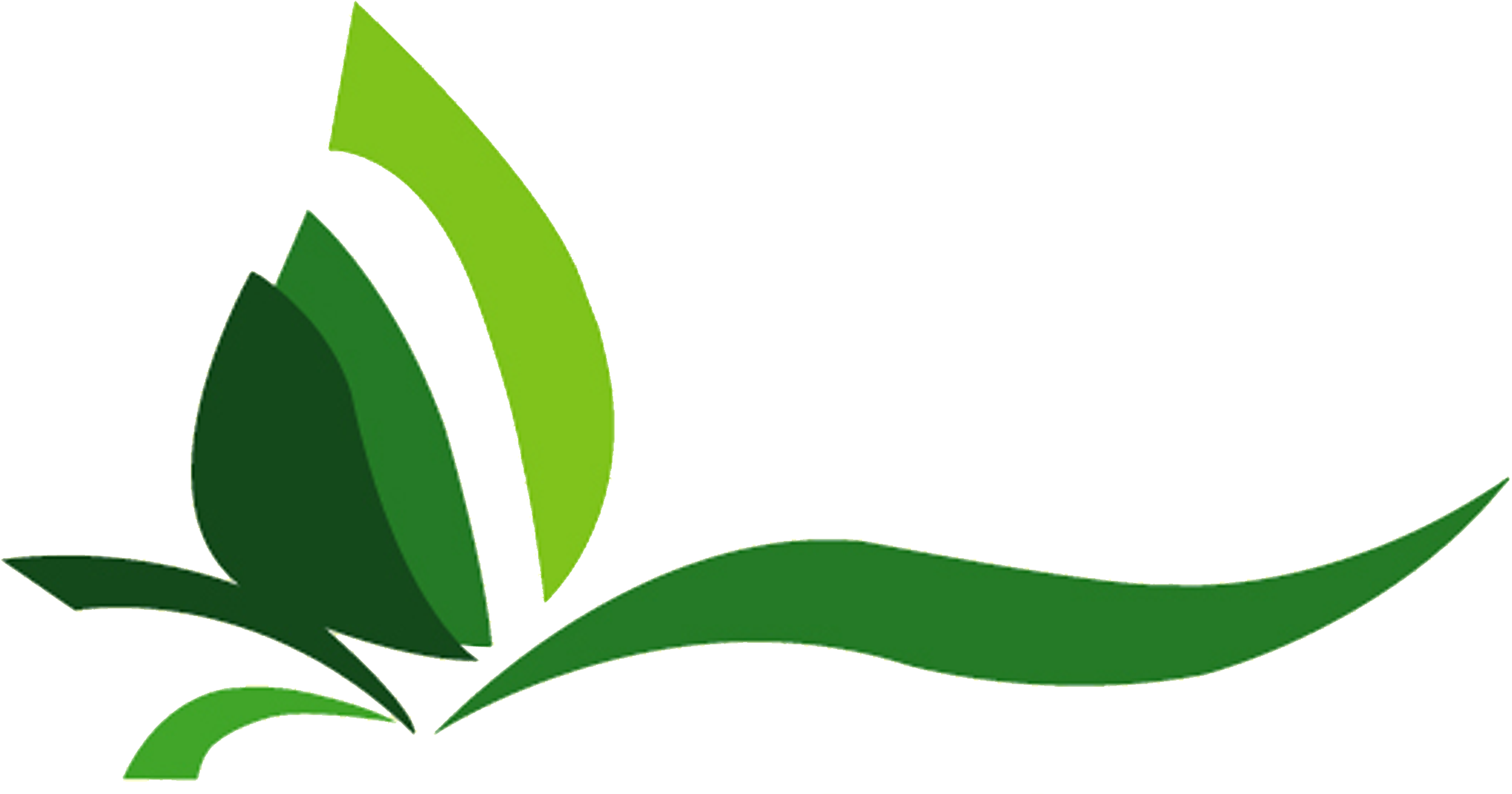 Plants Clipart Halaman - Png Download (5879x8296), Png Download