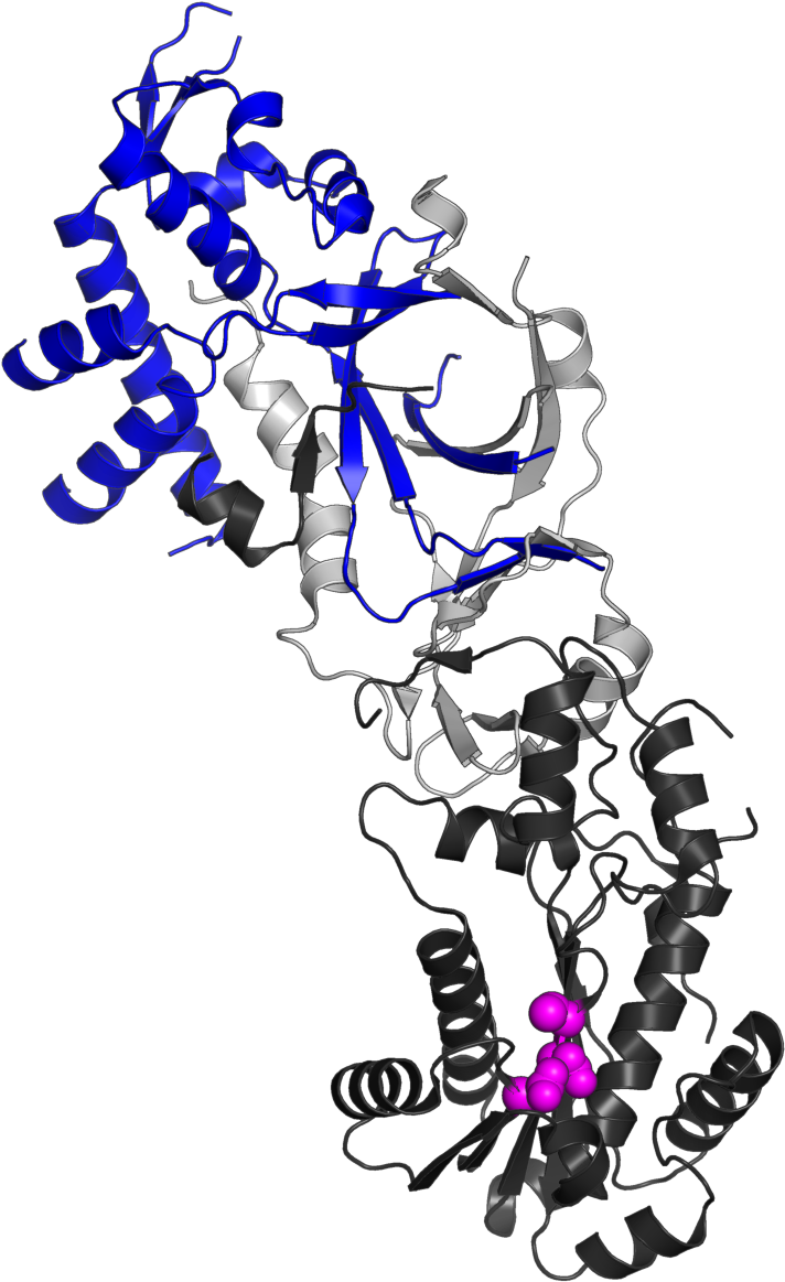 Syndrome Clipart (800x1200), Png Download