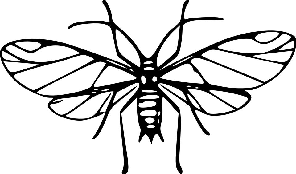 Mosquito Art Clip - Png Download (960x566), Png Download