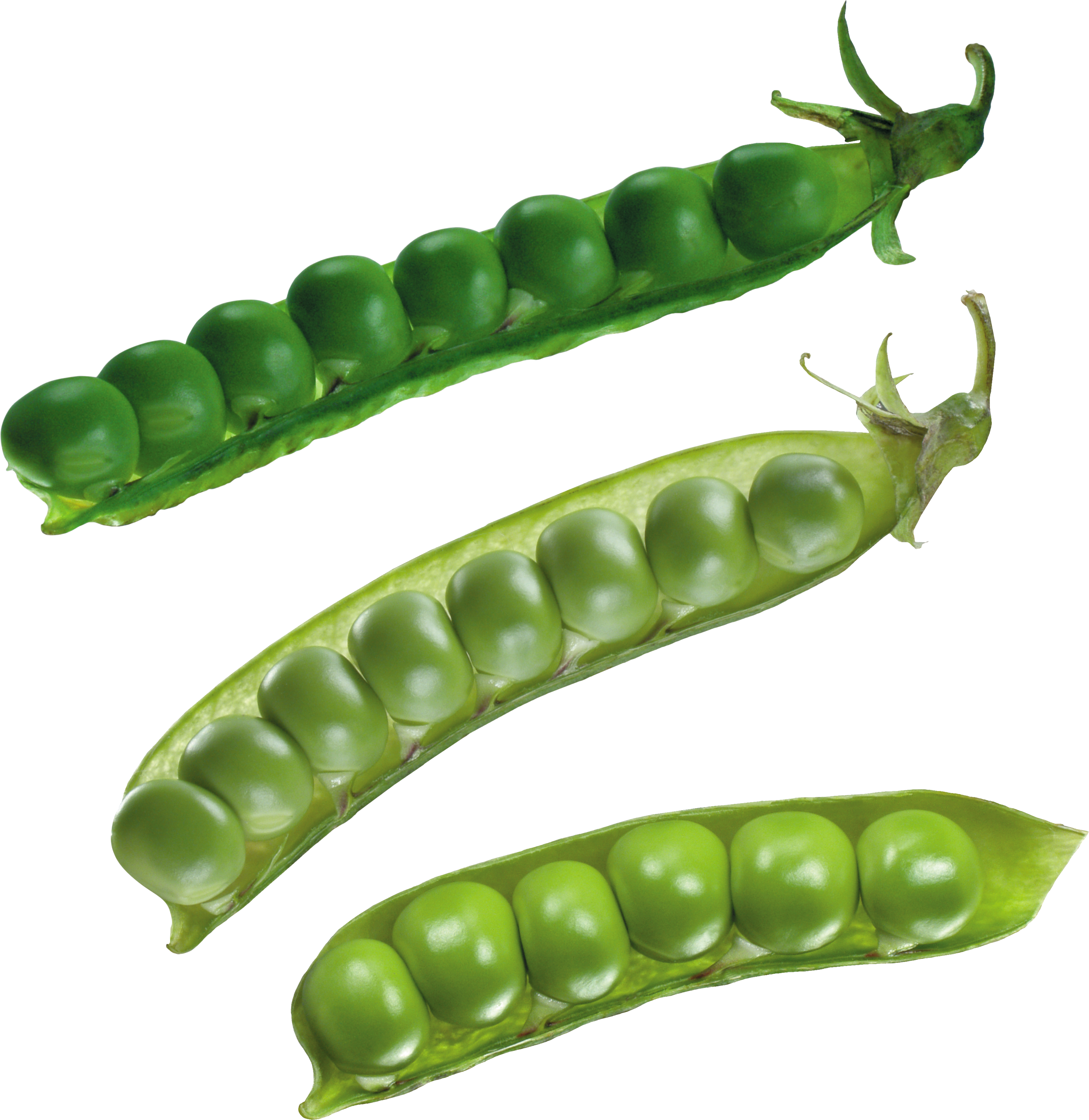 Pea Png Clipart (3368x3463), Png Download