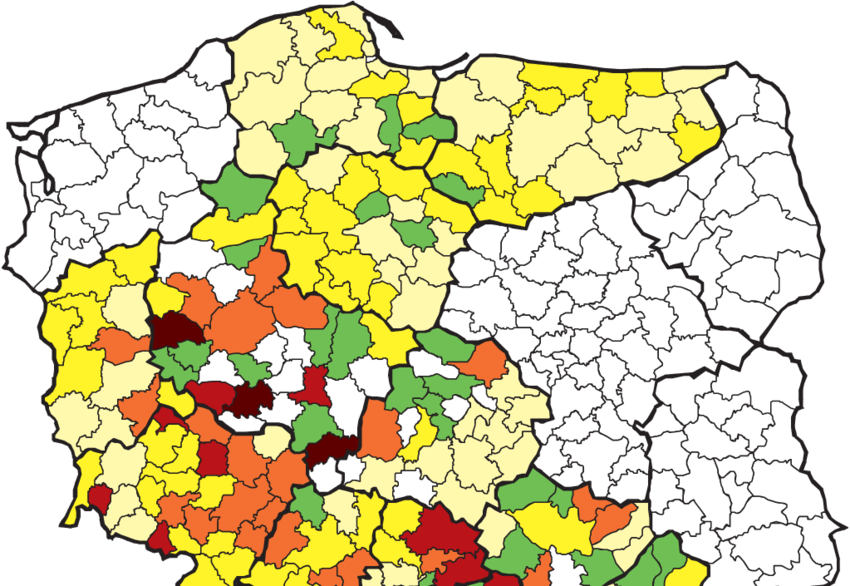 The Results Of The Examination Of Wild Boars For Anti-brucella - Brucella Clipart (850x586), Png Download