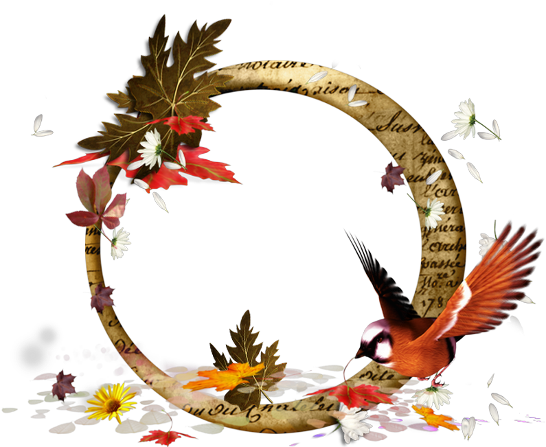 Floral Design Clipart (800x660), Png Download