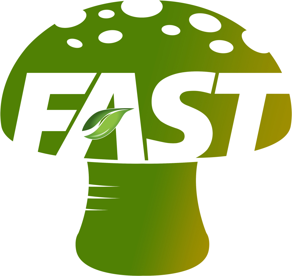 Fast Mushroom - Mushroom Clipart (1024x1024), Png Download