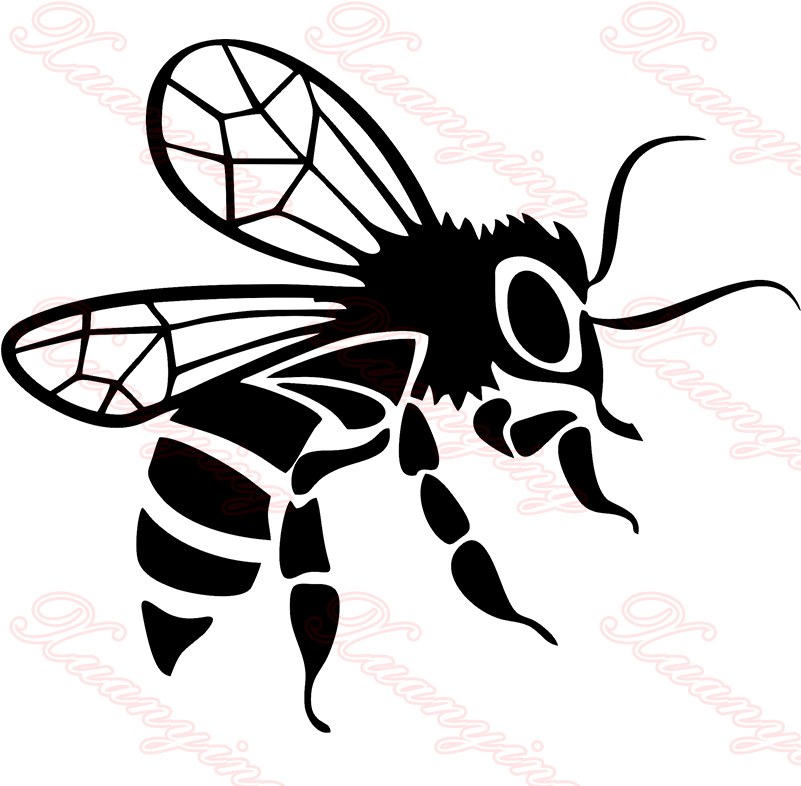 Product Description - Пчела Рисунок Clipart (800x800), Png Download