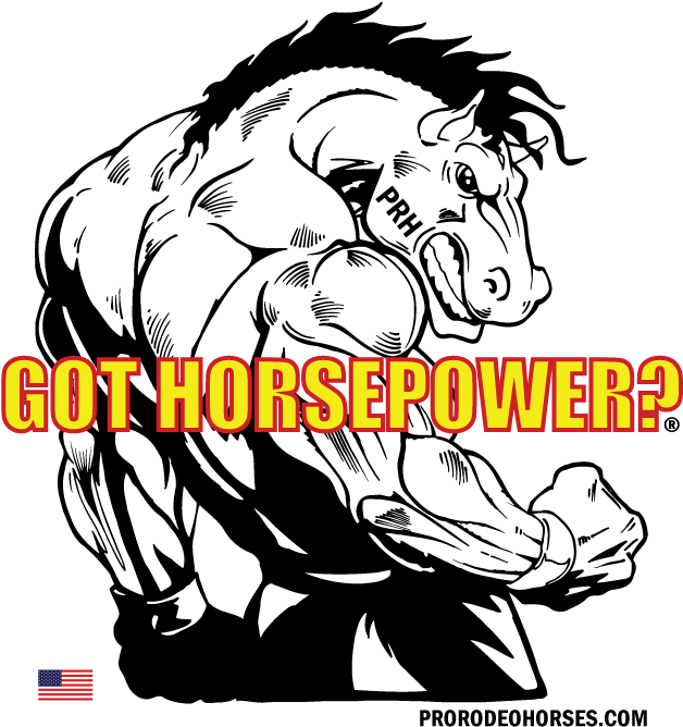 Page Views - - Horse Flexing Clipart (725x725), Png Download