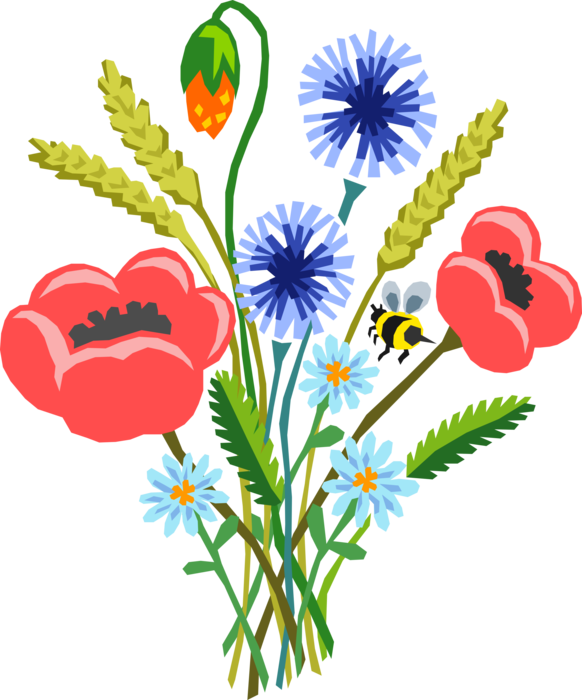 Poppies Vector Real - Specification Clipart (582x700), Png Download