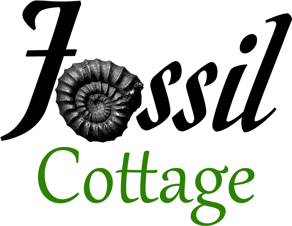 Fossil Cottage Fossil Cottage - Mr. Right Queen Duvet Clipart (1000x784), Png Download