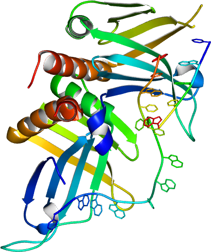 Hereby Shown Is The Structure Of Mrp1/mrp2 - Illustration Clipart (768x768), Png Download