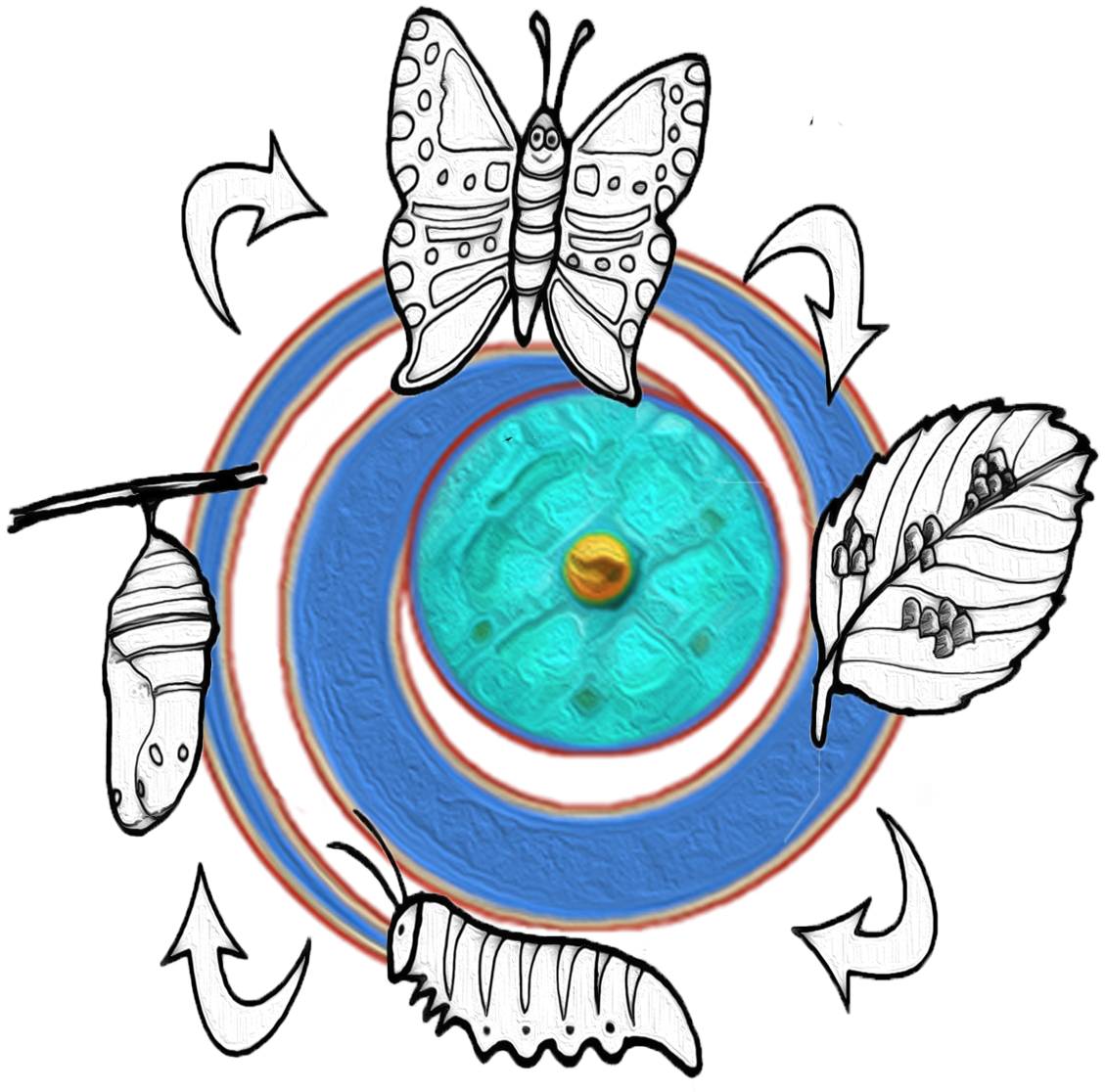 The Promise Of This Live Immersion Is To Provide You - Marsoc Clipart (1152x1152), Png Download