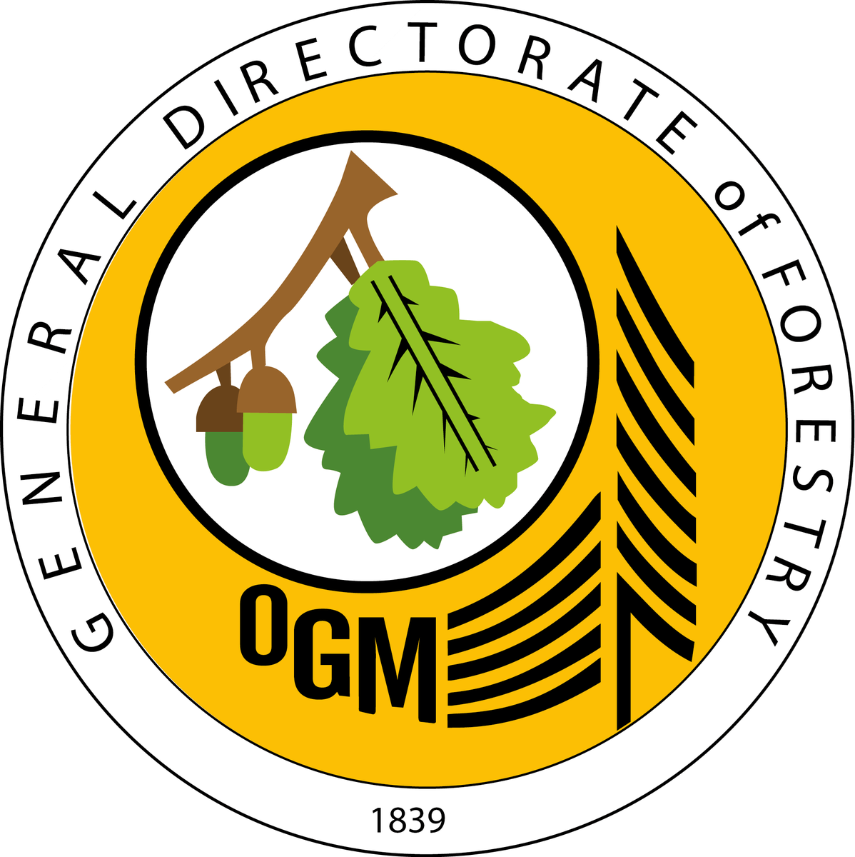 General Directorate Of Forestry Www - Orman Genel Müdürlüğü Clipart (1198x1200), Png Download