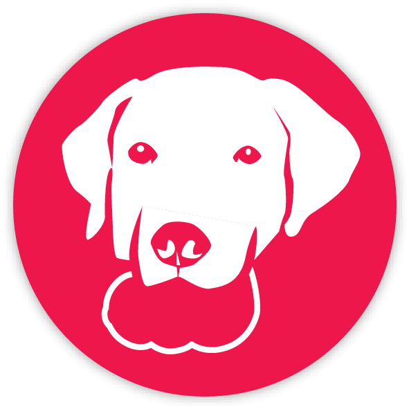 Chew Toy - Kong Company Clipart (600x600), Png Download