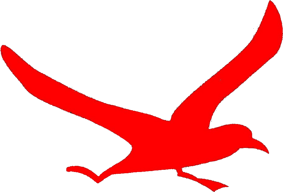 アルバトロス 阪 大 Clipart (960x652), Png Download