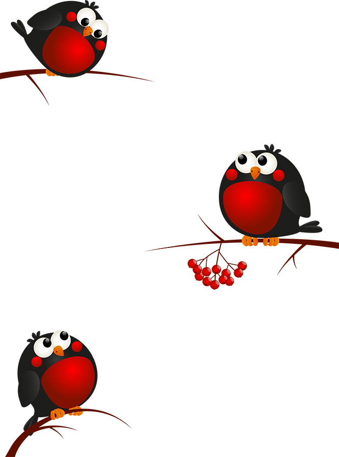 Christmas Bird Clipart (666x896), Png Download