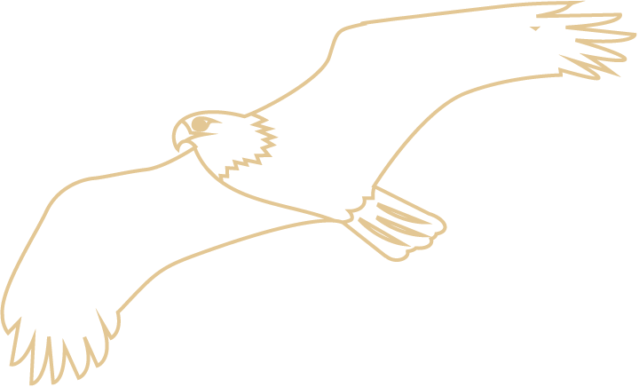 Eagle Clipart (720x436), Png Download