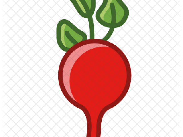 Beet Clipart Radish - Clip Art - Png Download (640x480), Png Download