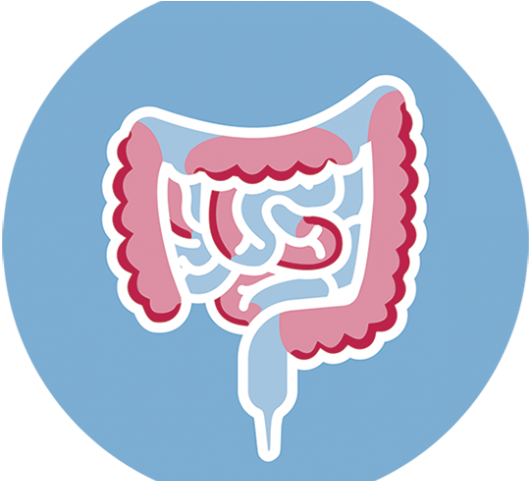 Elemental Clipart Lip - Elemental Diet - Png Download (640x480), Png Download