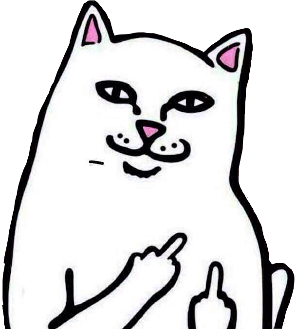 Finger Paperihaava Clip Art - Middle Finger Cat Png Transparent Png (608x677), Png Download