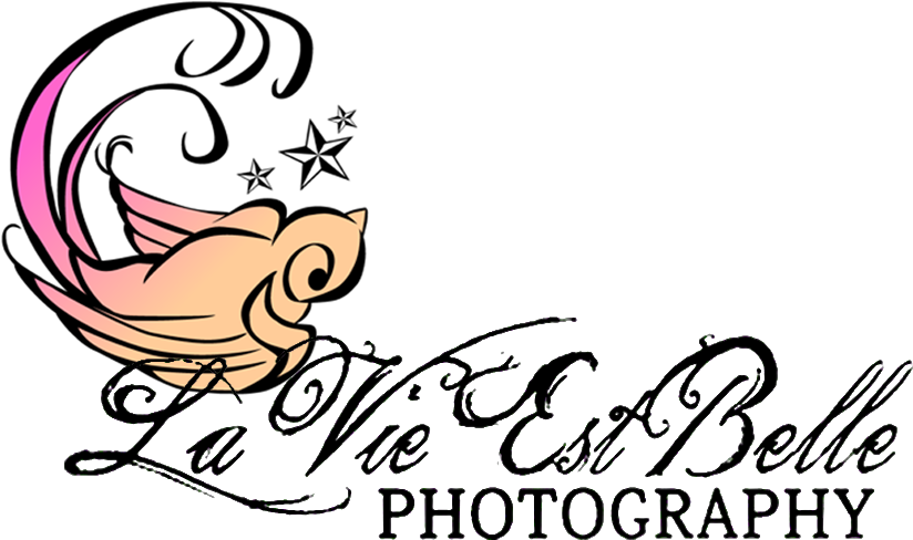 Beautiful Memories Deserve Beautiful Portraits - Pako Litto Clipart (1000x494), Png Download