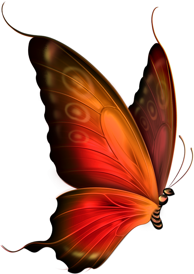 Mariposas Para Dibujar A Lapiz - Red Butterfly Png Transparent Clipart (600x767), Png Download