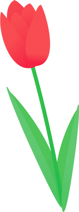 407 チューリップ - - Tulip Clipart (560x1000), Png Download
