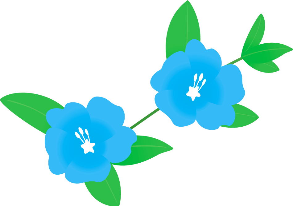 438 アメリカンブ - - Gentiana Clipart (1000x800), Png Download