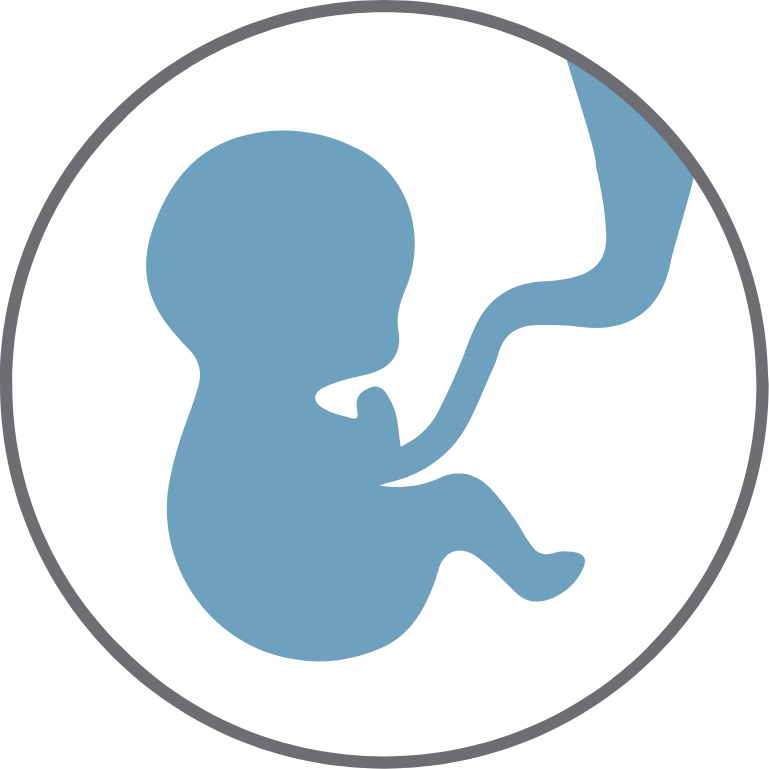 Donor And The Recipient Are Only Partially Matched, - Implant Clipart (769x769), Png Download