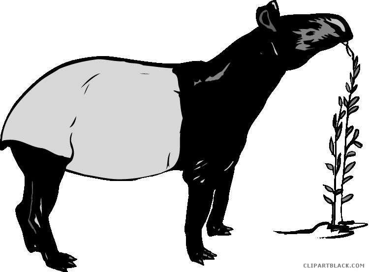 Capybara Clipart Black And White - Capybara - Png Download (750x553), Png Download